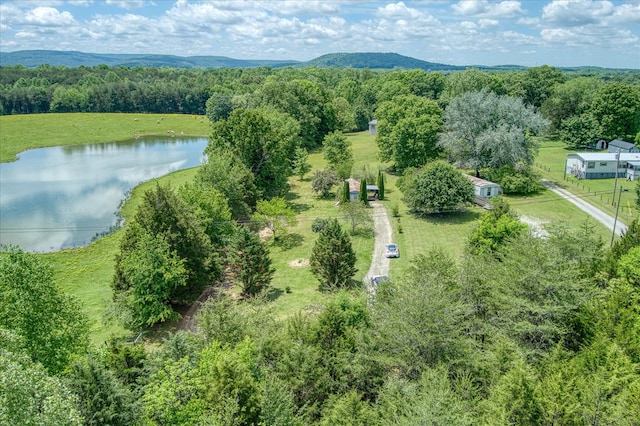 280 Bone Cave Rd, Rock Island, TN 38581 - photo 20