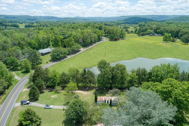 280 Bone Cave Rd, Rock Island, TN 38581 - photo 26
