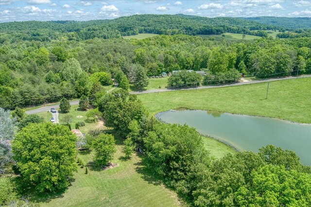280 Bone Cave Rd, Rock Island, TN 38581 - photo 24