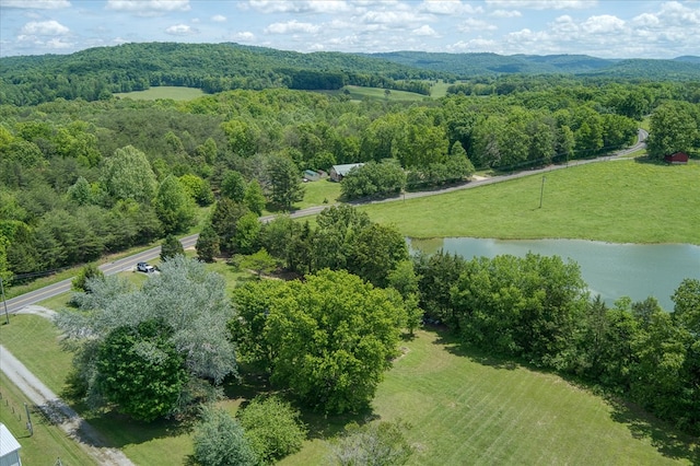 280 Bone Cave Rd, Rock Island, TN 38581 - photo 25