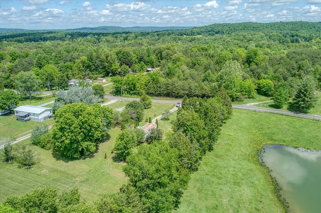 280 Bone Cave Rd, Rock Island, TN 38581 - photo 23