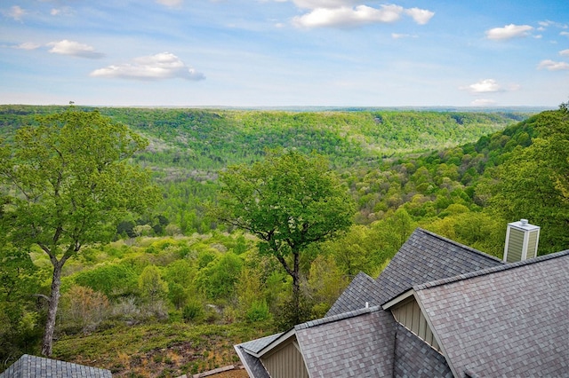 795 Eastridge Pass, Monterey, TN 38574 - photo 5