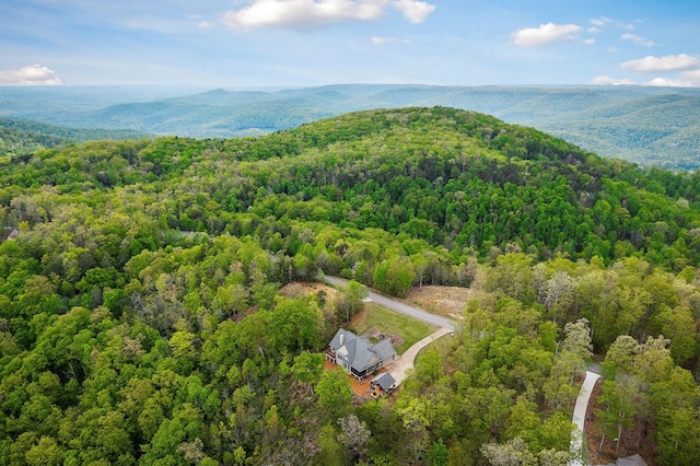 795 Eastridge Pass, Monterey, TN 38574 - photo 8