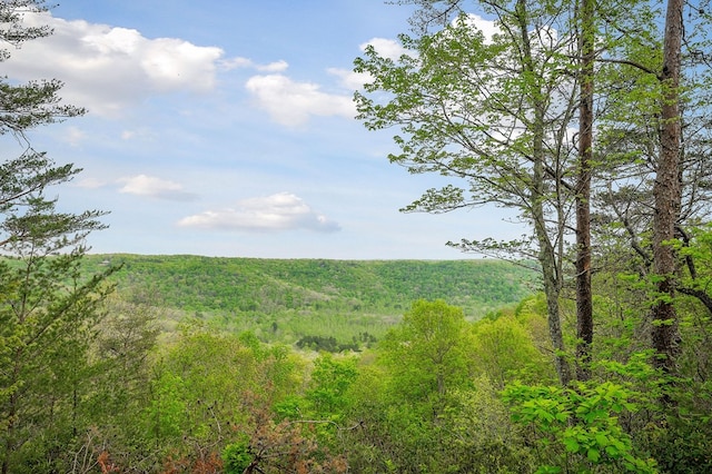 795 Eastridge Pass, Monterey, TN 38574 - photo 12