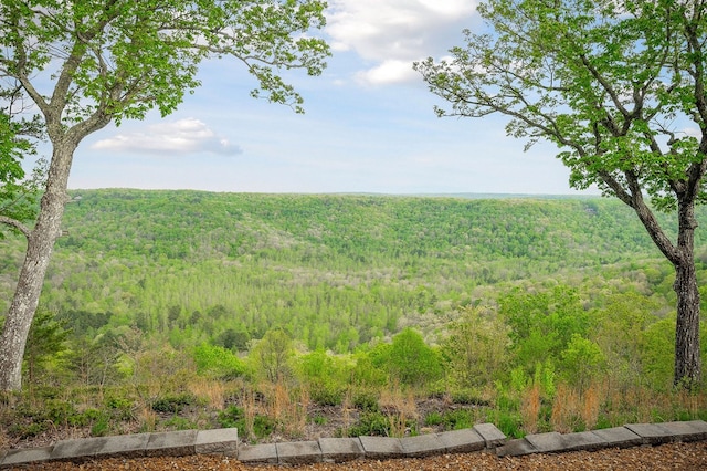 795 Eastridge Pass, Monterey, TN 38574 - photo 58