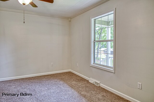122 Maple St, Crossville, TN 38555 - photo 15