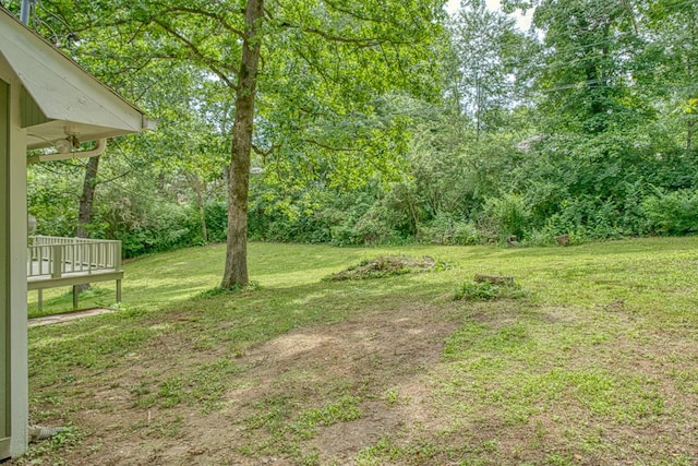 122 Maple St, Crossville, TN 38555 - photo 21