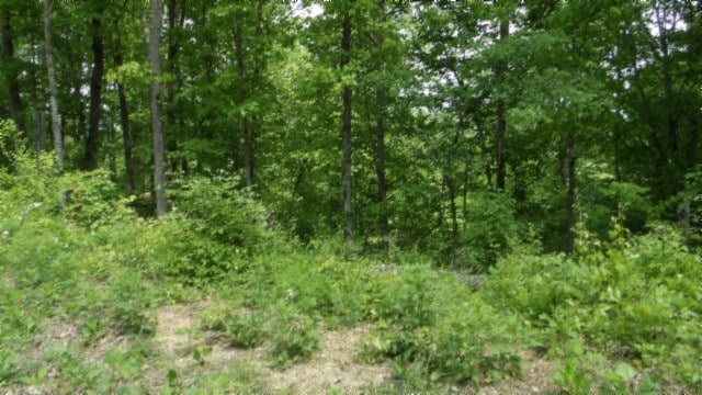 837 Rock Springs Rd, Celina, TN 38551