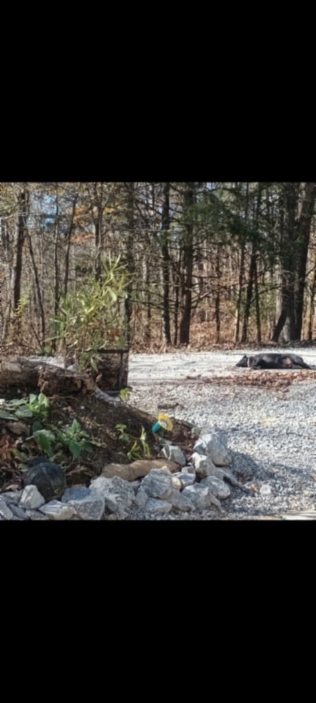 837 Rock Springs Rd, Celina, TN 38551