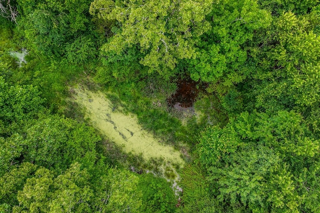 LOT24 Golden Herren Rd, Sparta, TN 38583 - photo 4