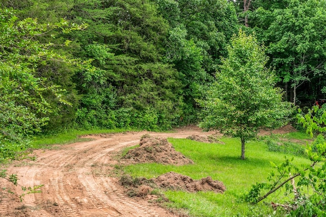 LOT24 Golden Herren Rd, Sparta, TN 38583 - photo 16