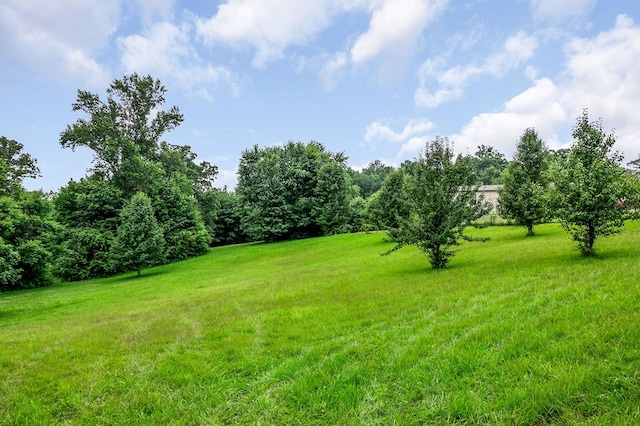LOT24 Golden Herren Rd, Sparta, TN 38583 - photo 15