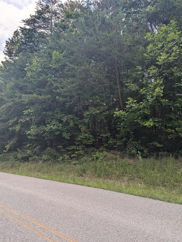 0 Belmont Dr, Monterey, TN 38574