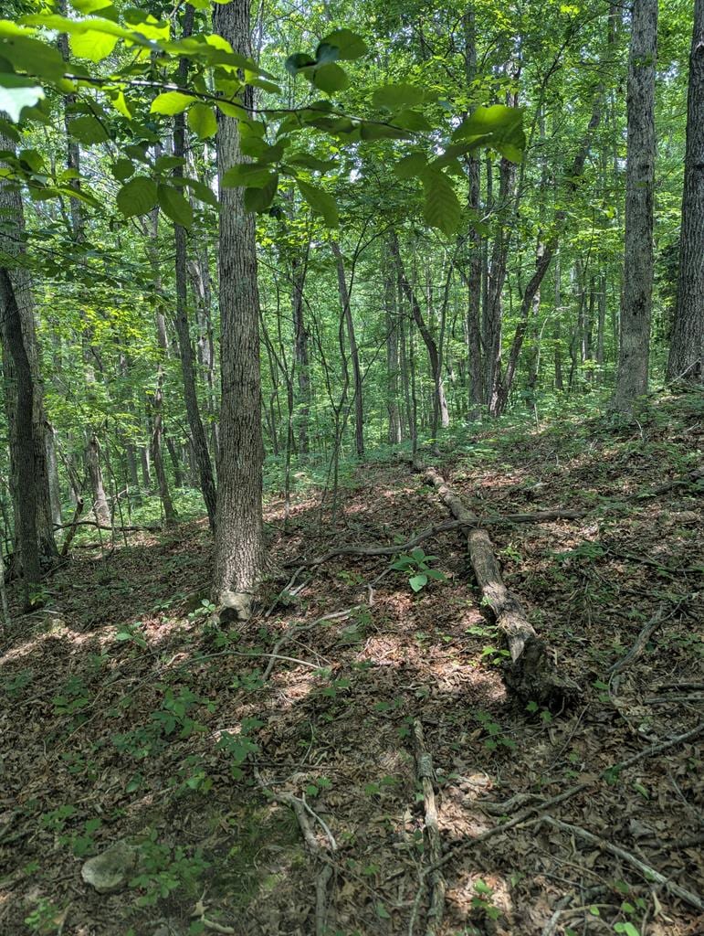 0 Belmont Dr, Monterey, TN 38574