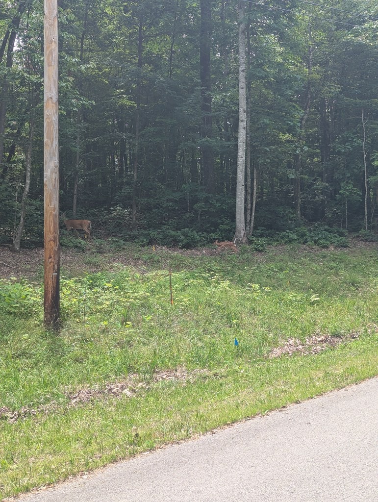 0 Belmont Dr, Monterey, TN 38574