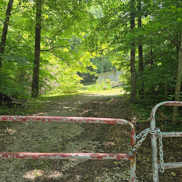 190 Roughshod Ln, Hilham, TN 38568 - view of yard