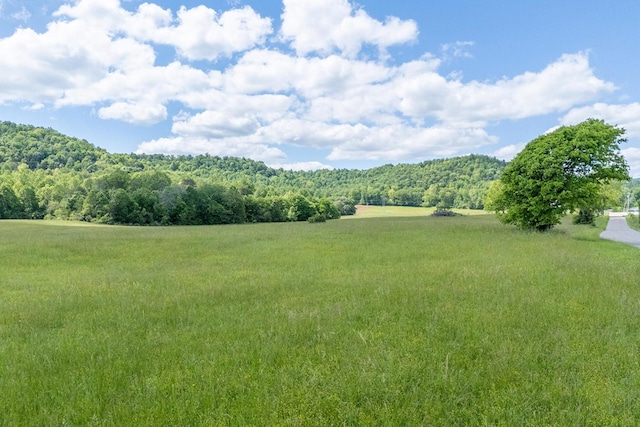 22AC Hurd Rd, Sparta, TN 38583 - photo 7