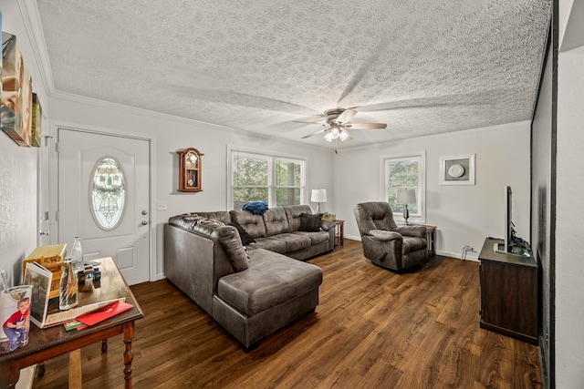 121 Ashley Rd, Jamestown, TN 38556 - photo 3