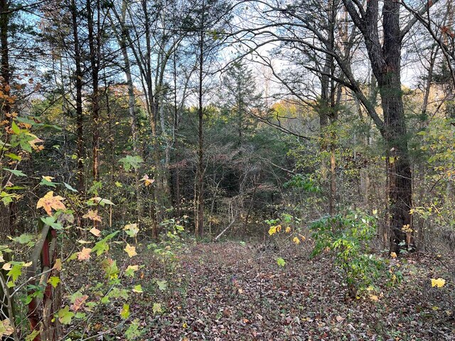 view of local wilderness featuring a view of trees