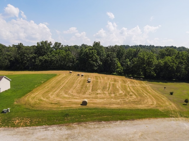 120 SE Falls View Rd, Sparta, TN 38583 - photo 13