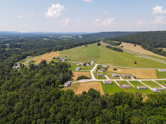 120 SE Falls View Rd, Sparta, TN 38583 - photo 11