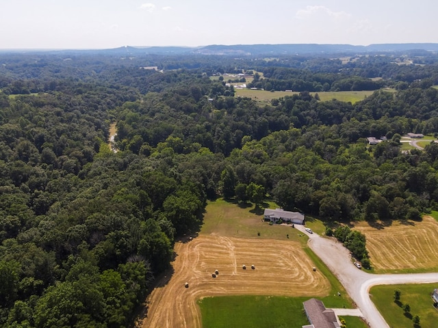 120 SE Falls View Rd, Sparta, TN 38583 - photo 3