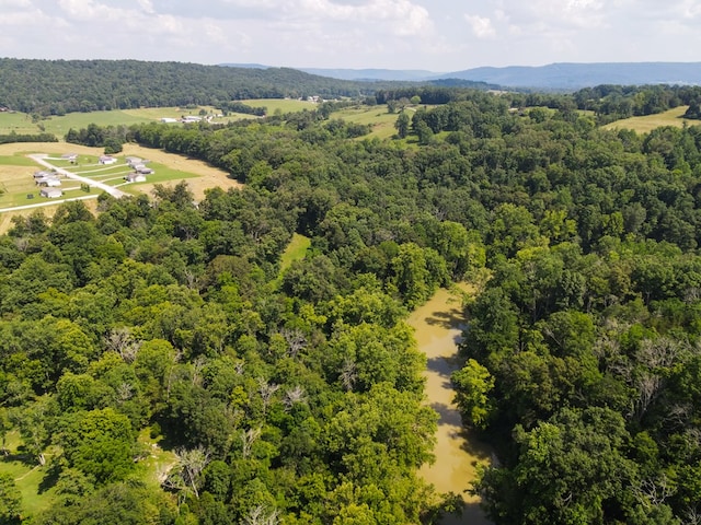 120 SE Falls View Rd, Sparta, TN 38583 - photo 7