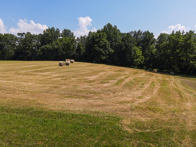 120 SE Falls View Rd, Sparta, TN 38583 - photo 5