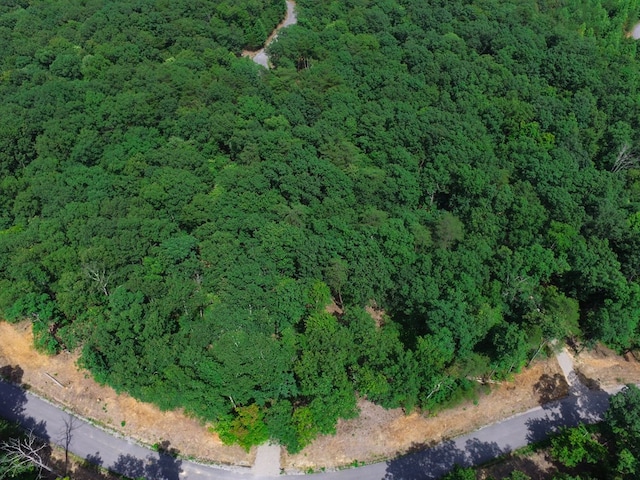 770 Overlook Dr, Spencer, TN 38585