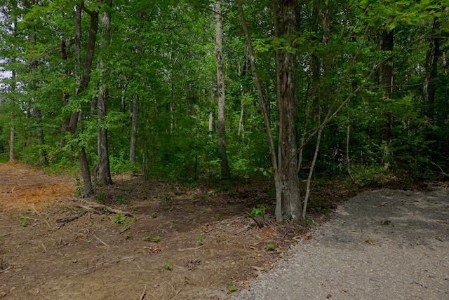 770 Overlook Dr, Spencer, TN 38585