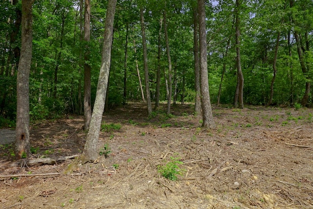 770 Overlook Dr, Spencer, TN 38585