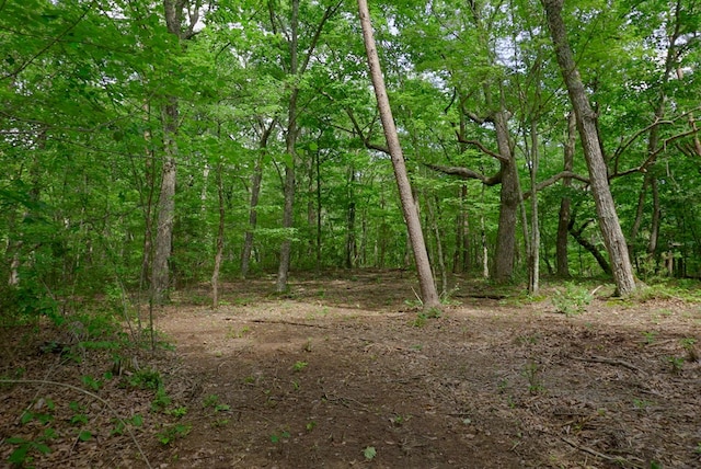 770 Overlook Dr, Spencer, TN 38585