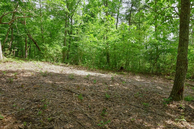 770 Overlook Dr, Spencer, TN 38585