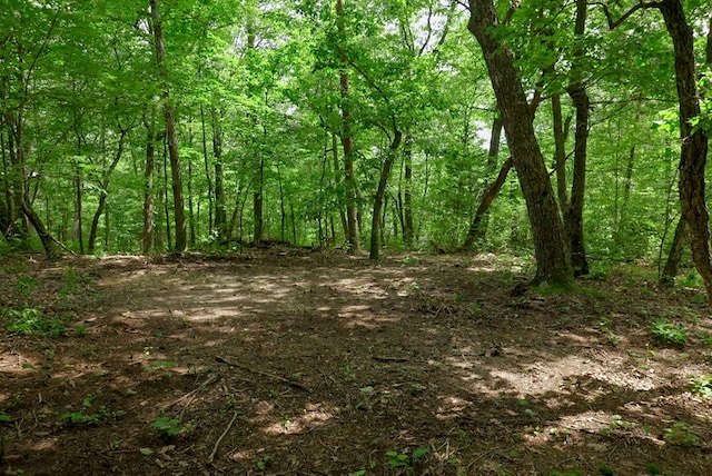 770 Overlook Dr, Spencer, TN 38585