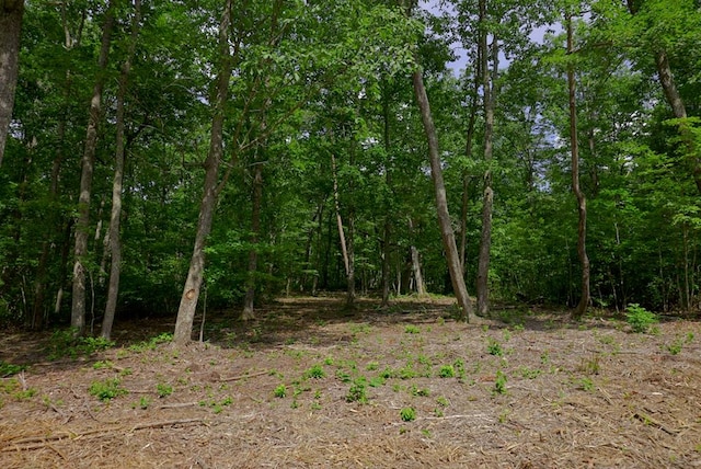 770 Overlook Dr, Spencer, TN 38585