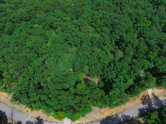 770 Overlook Dr, Spencer, TN 38585