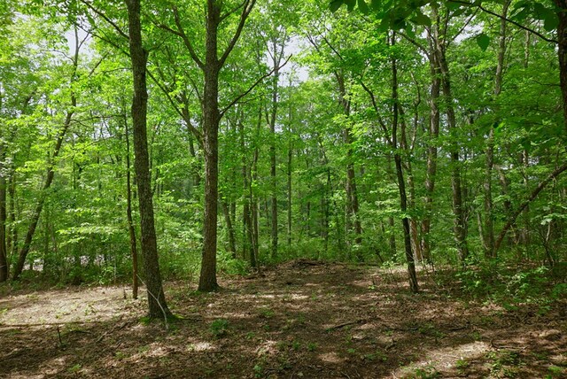 770 Overlook Dr, Spencer, TN 38585