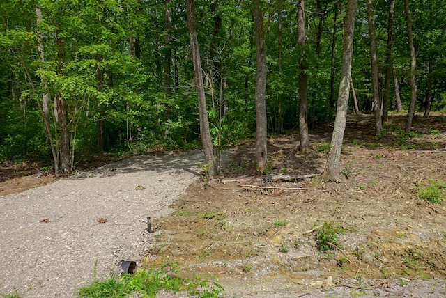 770 Overlook Dr, Spencer, TN 38585