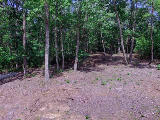 770 Overlook Dr, Spencer, TN 38585