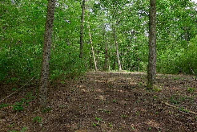 770 Overlook Dr, Spencer, TN 38585