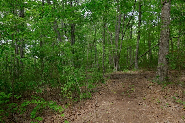 770 Overlook Dr, Spencer, TN 38585