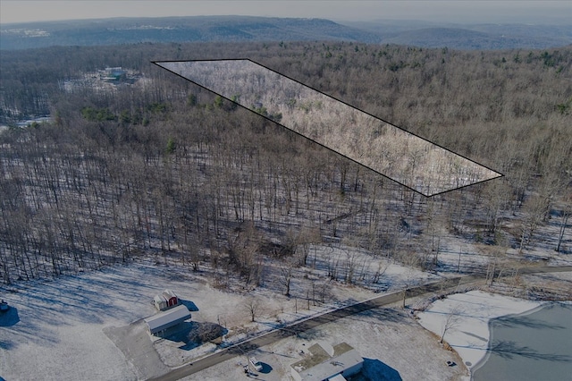 LOT79 Coal Bank Rd, Sparta, TN 38583 - photo 4
