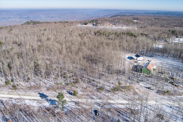 LOT79 Coal Bank Rd, Sparta, TN 38583 - photo 8