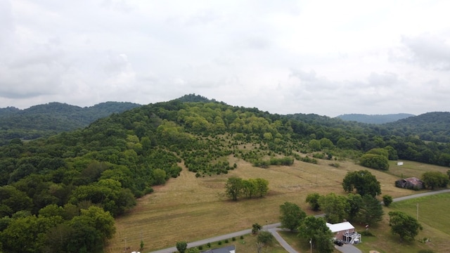 0 Smith Bend Ln, Gainesboro, TN 38562 - photo 3