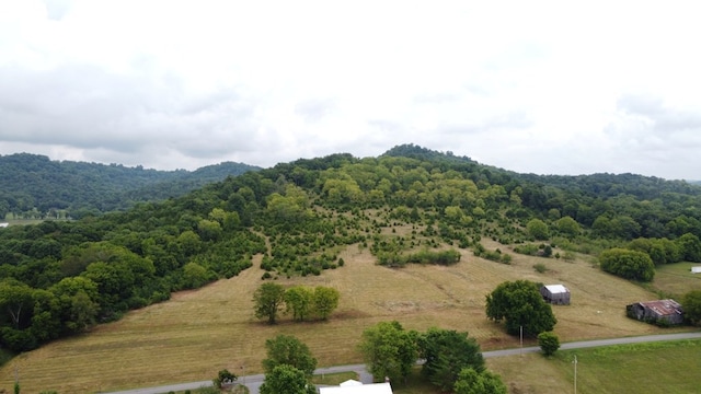 0 Smith Bend Ln, Gainesboro, TN 38562 - photo 6