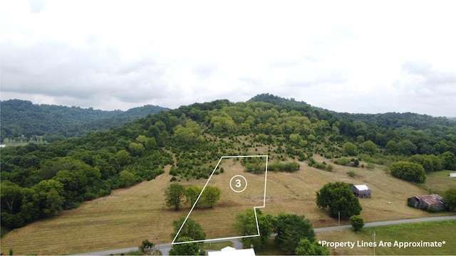 0 Smith Bend Ln, Gainesboro, TN 38562 - photo 1