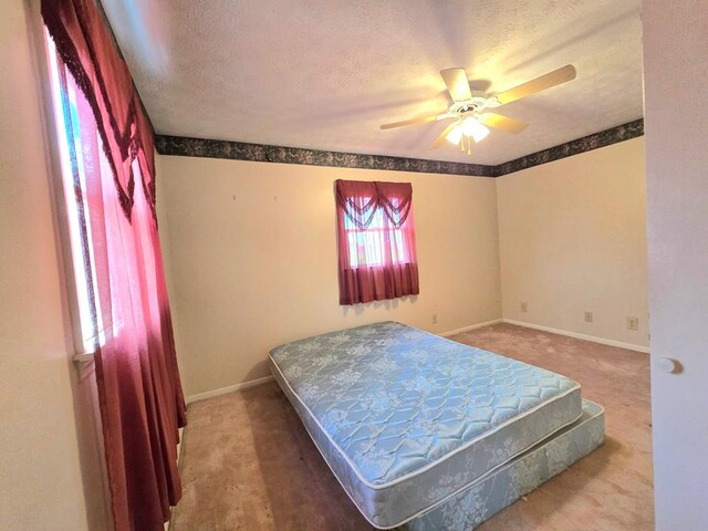 6579 Vervilla Rd, Morrison, TN 37357 - photo 48