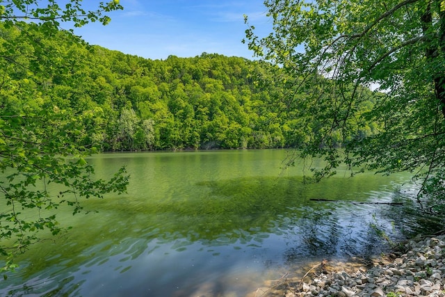 1103 Warren County Park Rd, Rock Island, TN 38581 - photo 29
