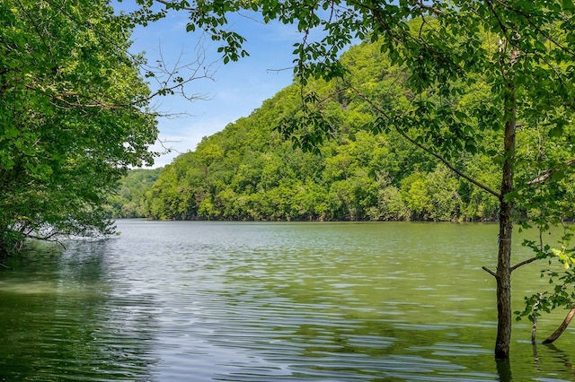 1103 Warren County Park Rd, Rock Island, TN 38581 - photo 28