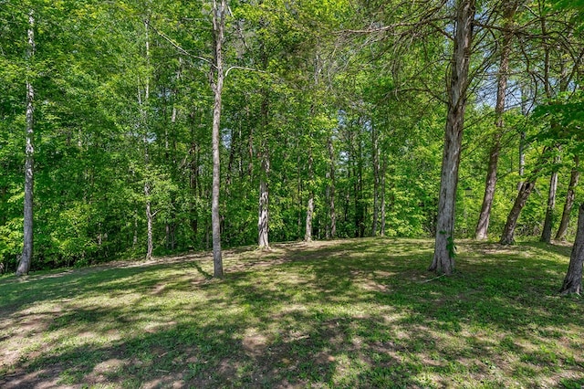 1103 Warren County Park Rd, Rock Island, TN 38581 - photo 23